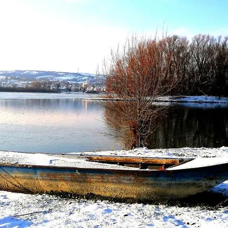 Captain's House By The Danube River Holiday home Cerevic