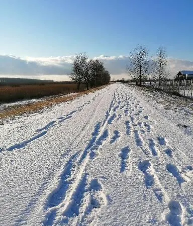 Captain's House By The Danube River *